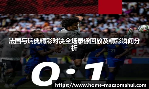 法国与瑞典精彩对决全场录像回放及精彩瞬间分析